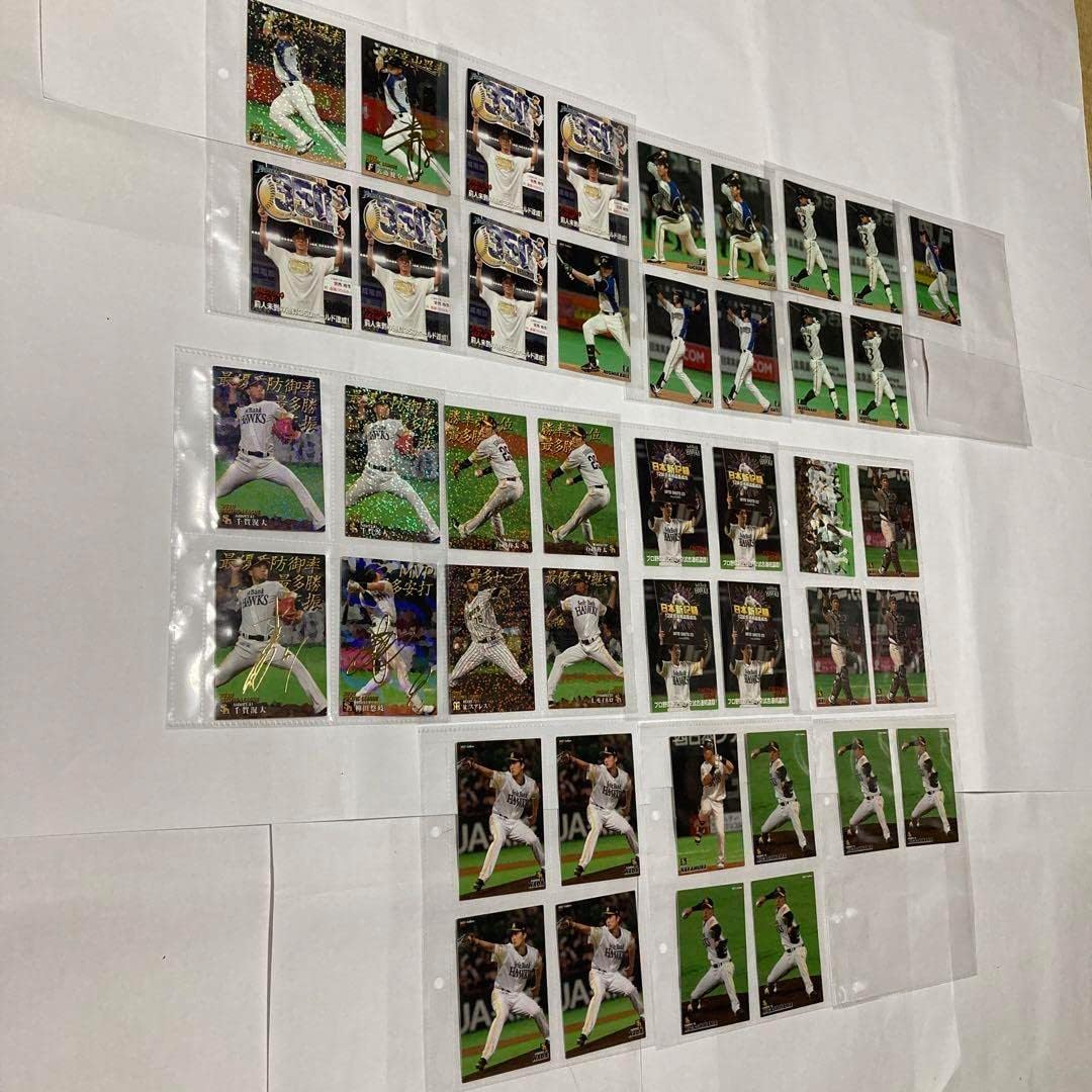 ファイル付き 2021プロ野球チップスカード 第一弾 合計203枚 カルビー