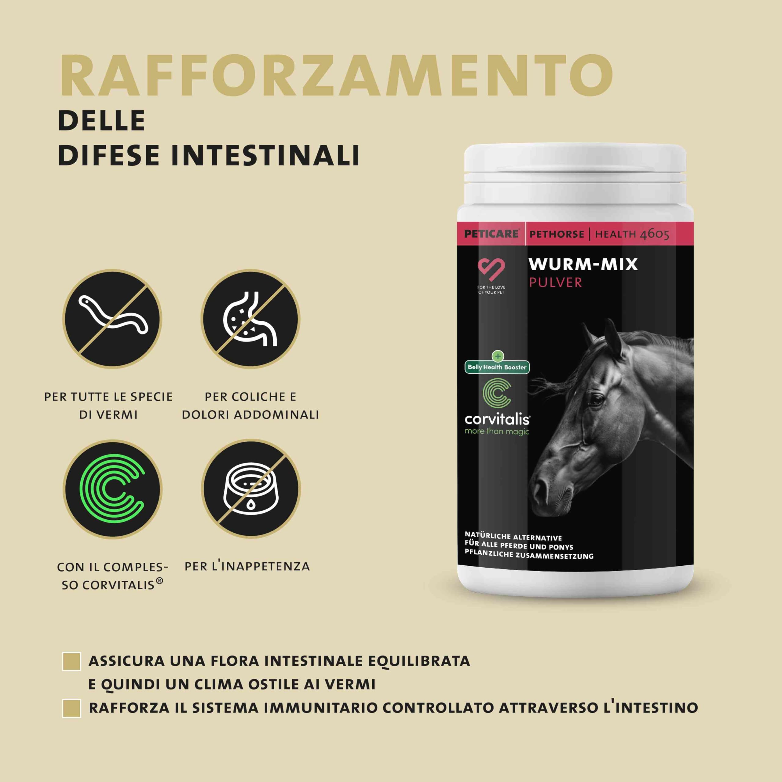 Peticare Polvere Flora Intestinale ed Erbe Cavalli – Supporto Naturale per l'Ambiente Intestinale – Con Semi di Zucca e Assenzio – Integratore per Cavalli