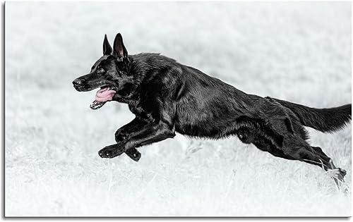 Miniatura 2 de Póster de lienzo con diseño de pastor alemán para correr, arte de pared para decoración de oficina en casa con marco de 42 x 24 pulgadas