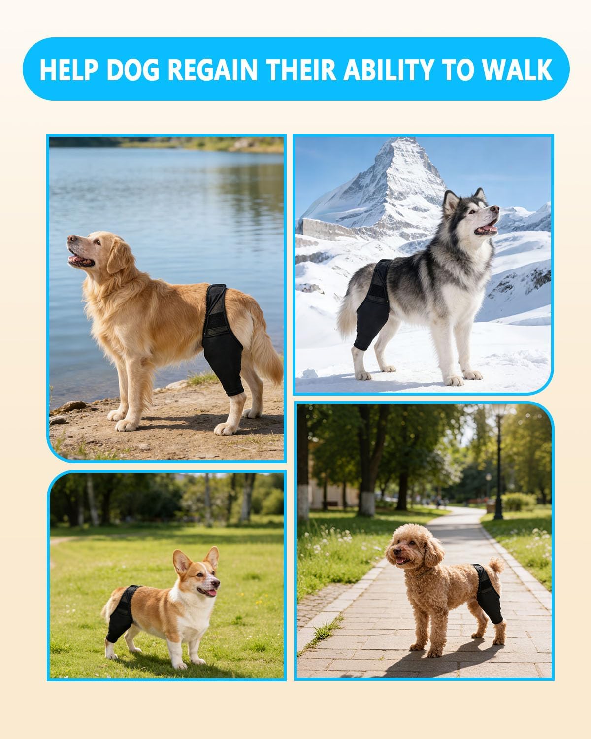 Dog Recovery Sleeve Back Leg, Breathable Anti-Slip Material - Adjustable Size, Comfortable Dog Rear Leg Sleeve to Stop Licking and Biting Firm and Secure (XL,Single Leg)