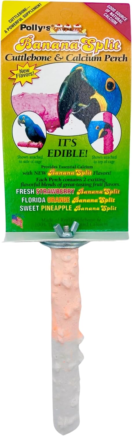 Polly's Cuttlebone Calcium Bird Perch, Large