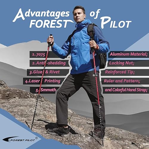 Miniatura 2 de Bastones de trekking  Aluminio ligero 7075 con cerradura abatible y accesorios todo terreno  Par de 2 bastones para senderismo con agarre de madera