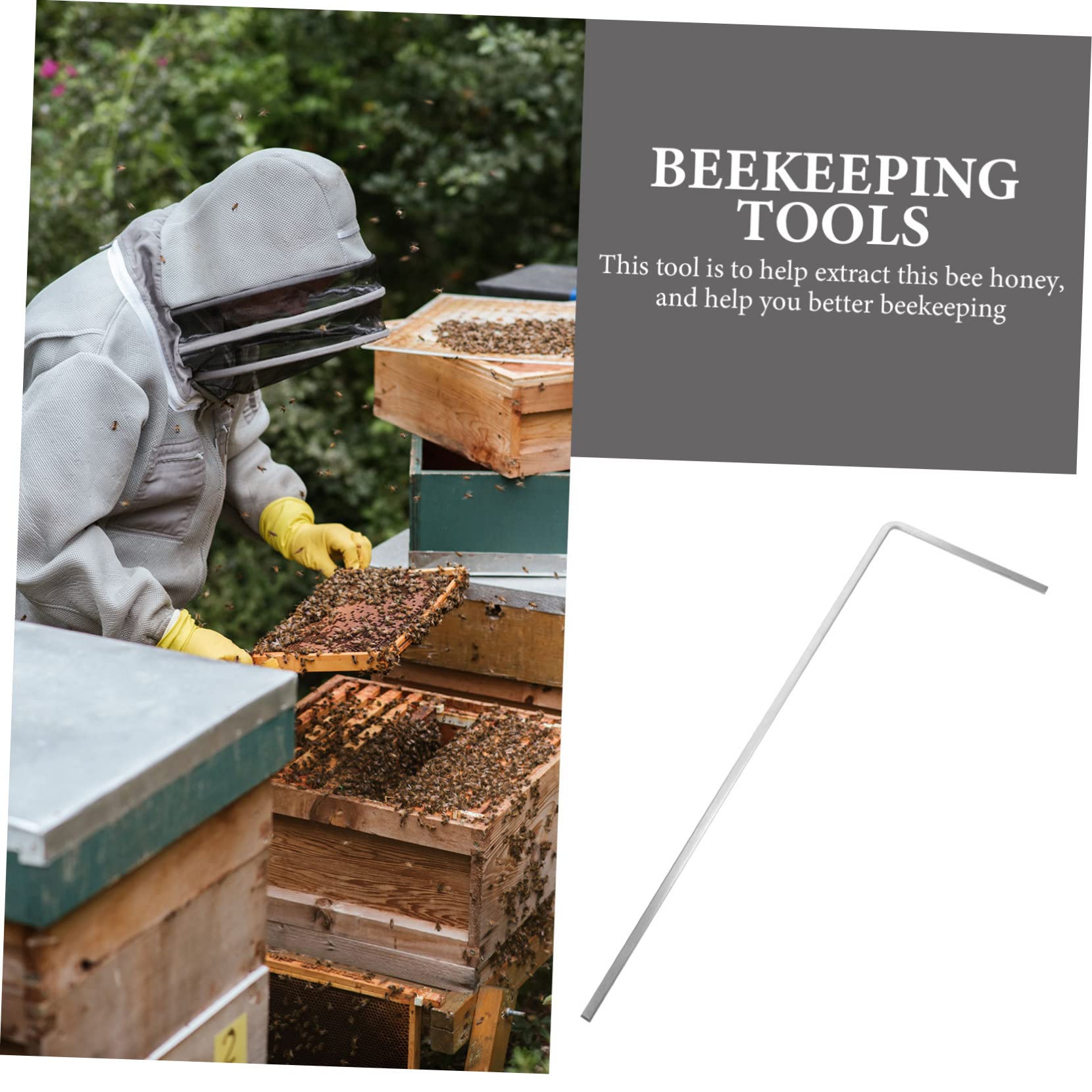 TOYANDONA 2 Piezas Herramienta de Apicultura Accesorio Práctico de Duradero para Extracción de y Cera para Cuidadores de Abejas y Apicultores