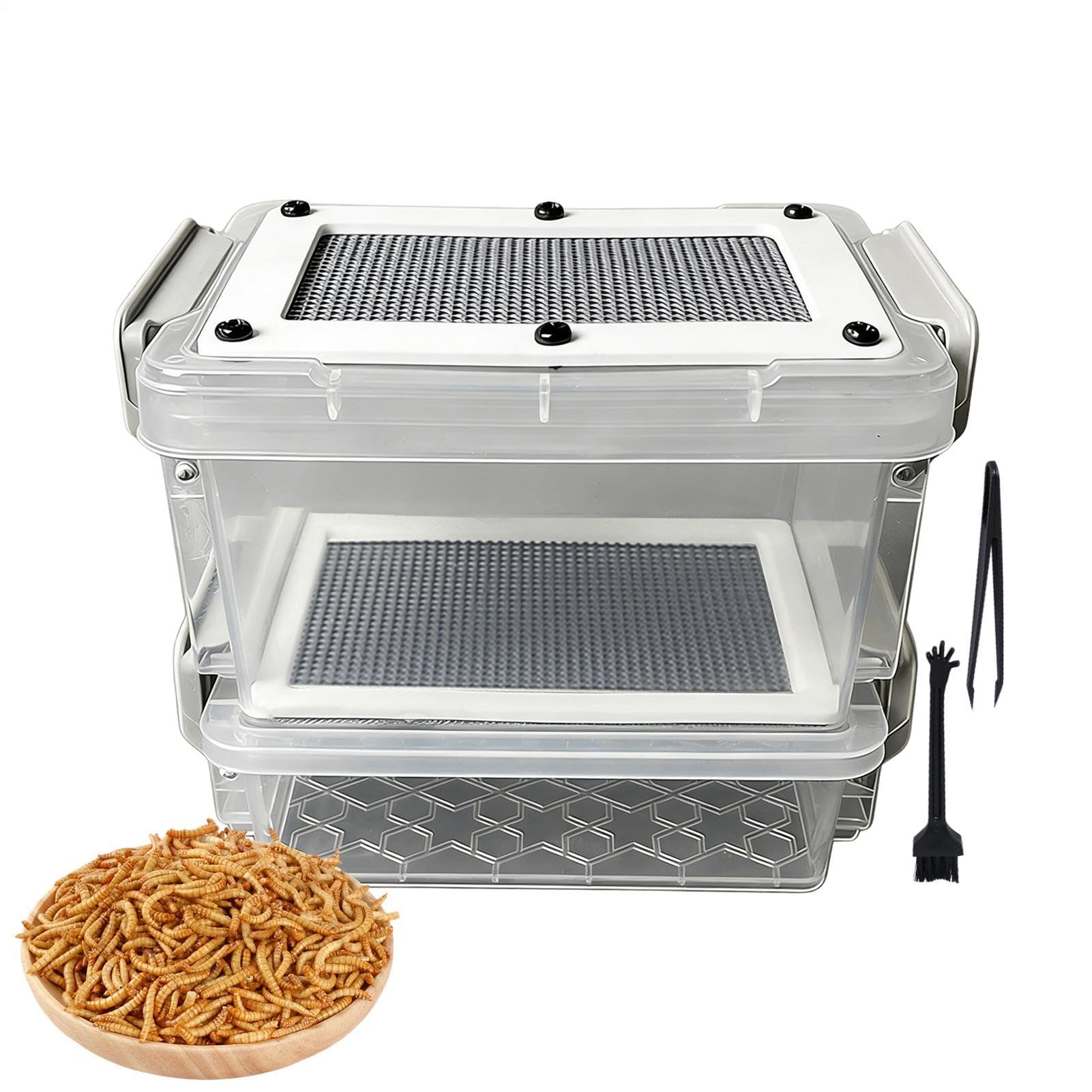 Récipient d'élevage de vers de farine avec pince et brosse pour poulet et oiseau