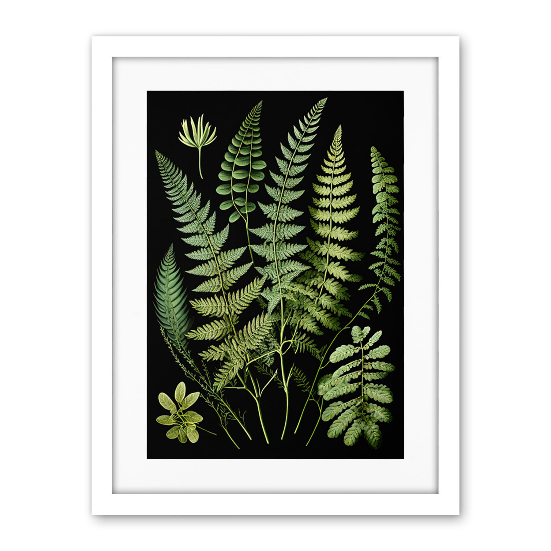 Artery8 Fern Fronds Detailed Leaves Botanical Illustration Artwork Framed Wall Art Print 18X24 Inch