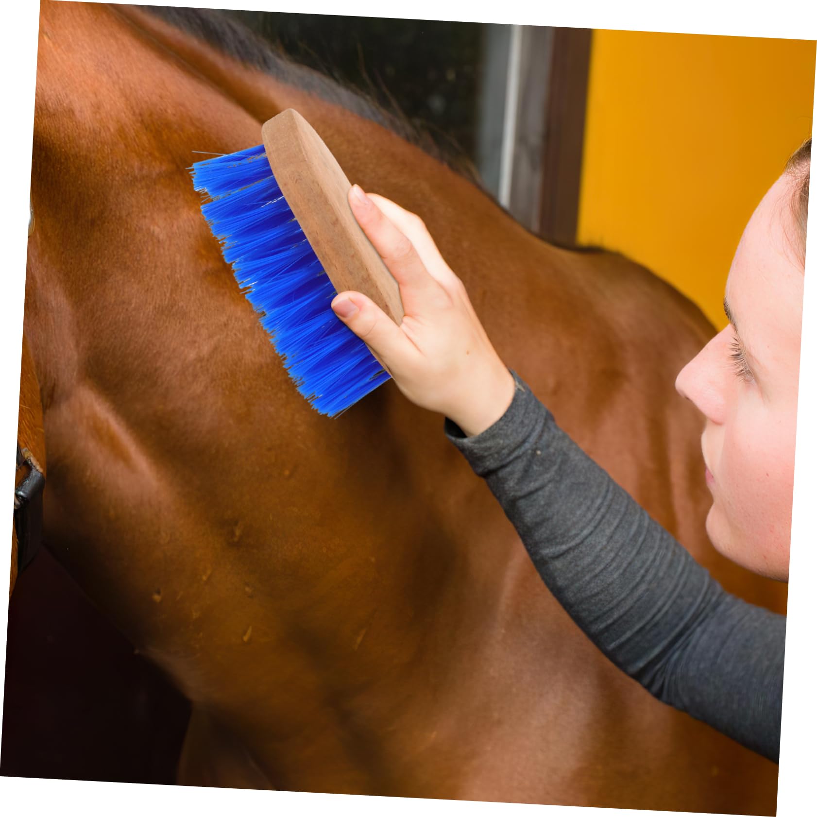 BESTonZON Livestock Grooming Brush for Horses and Cattle Stiff Bristle Horse Body Cleaner Durable Grooming Tool Essential Horse Grooming Supply