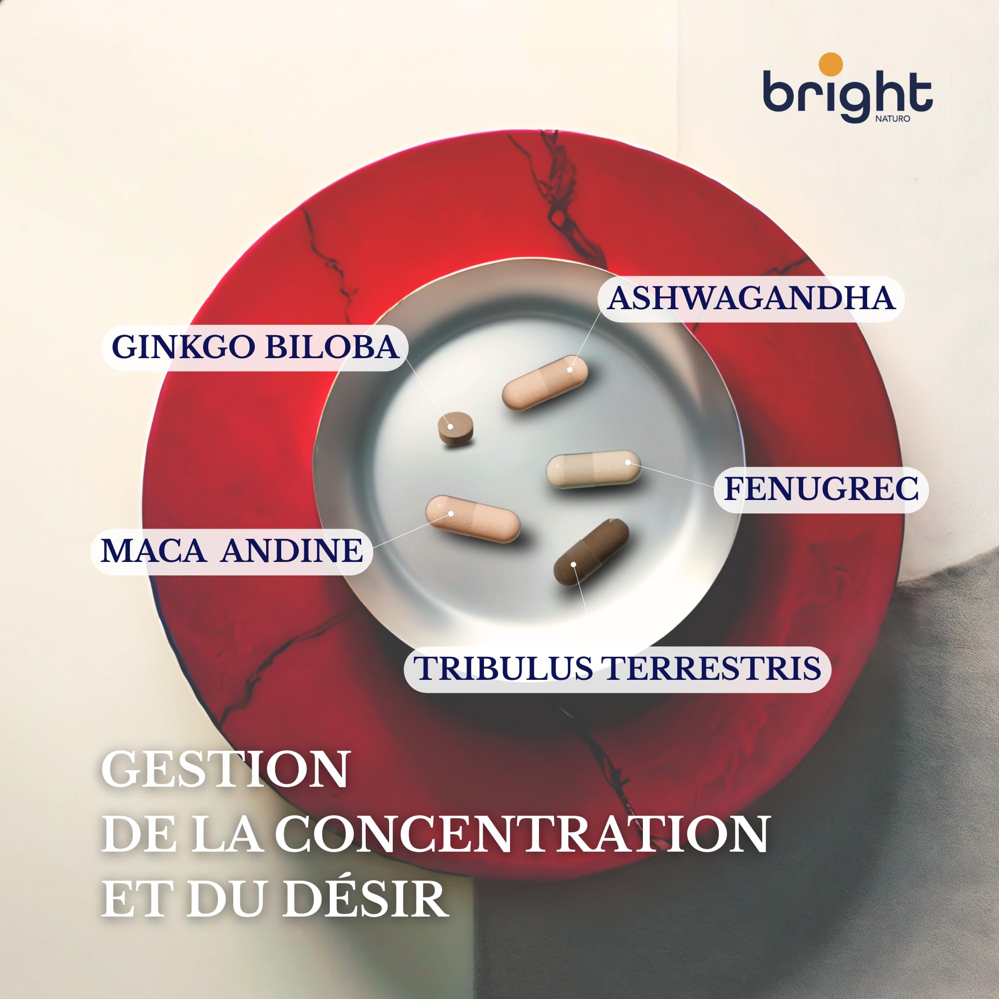 Maca Anadina, Tribulus, Fenogreco, Ashwagandha, Ginkgo Biloba - SmartAbsorb™ | pour l’énergie, l’équilibre hormonal et la fonction cérébrale | 28 sachets quotidiens