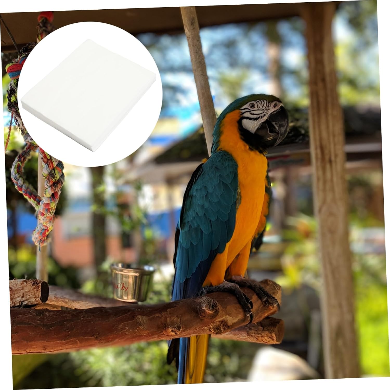 VANZACK 100pcs Parrot Cage Liners Absorbent Bird Urine Pads for Cockatiels Parakeets and Lovebirds Breathable and Design for Easy Cleanup