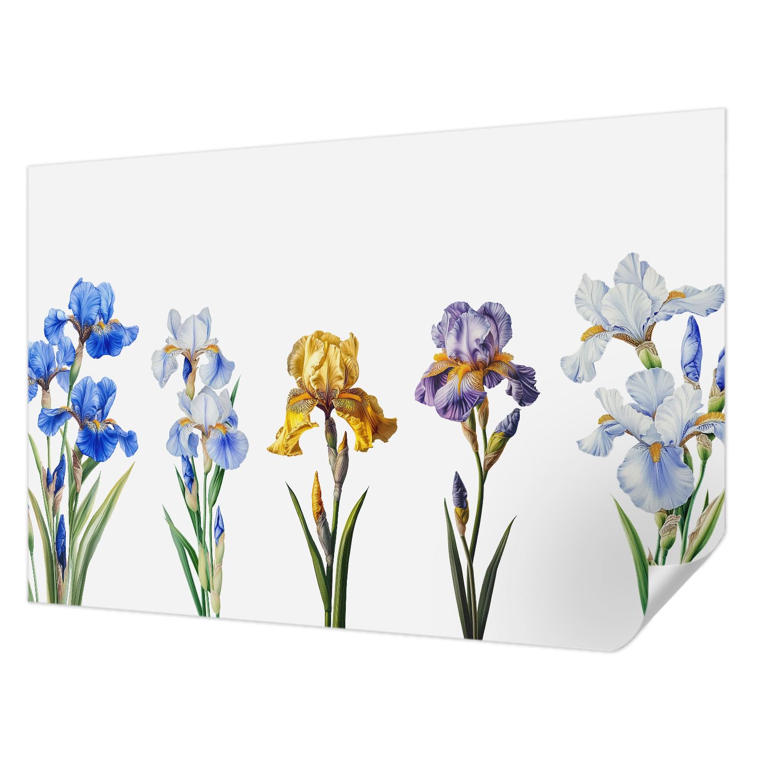 Papier peint fleurs d'iris Tulup 104x70 cm auto-adhésif pour chambre et salon moderne
