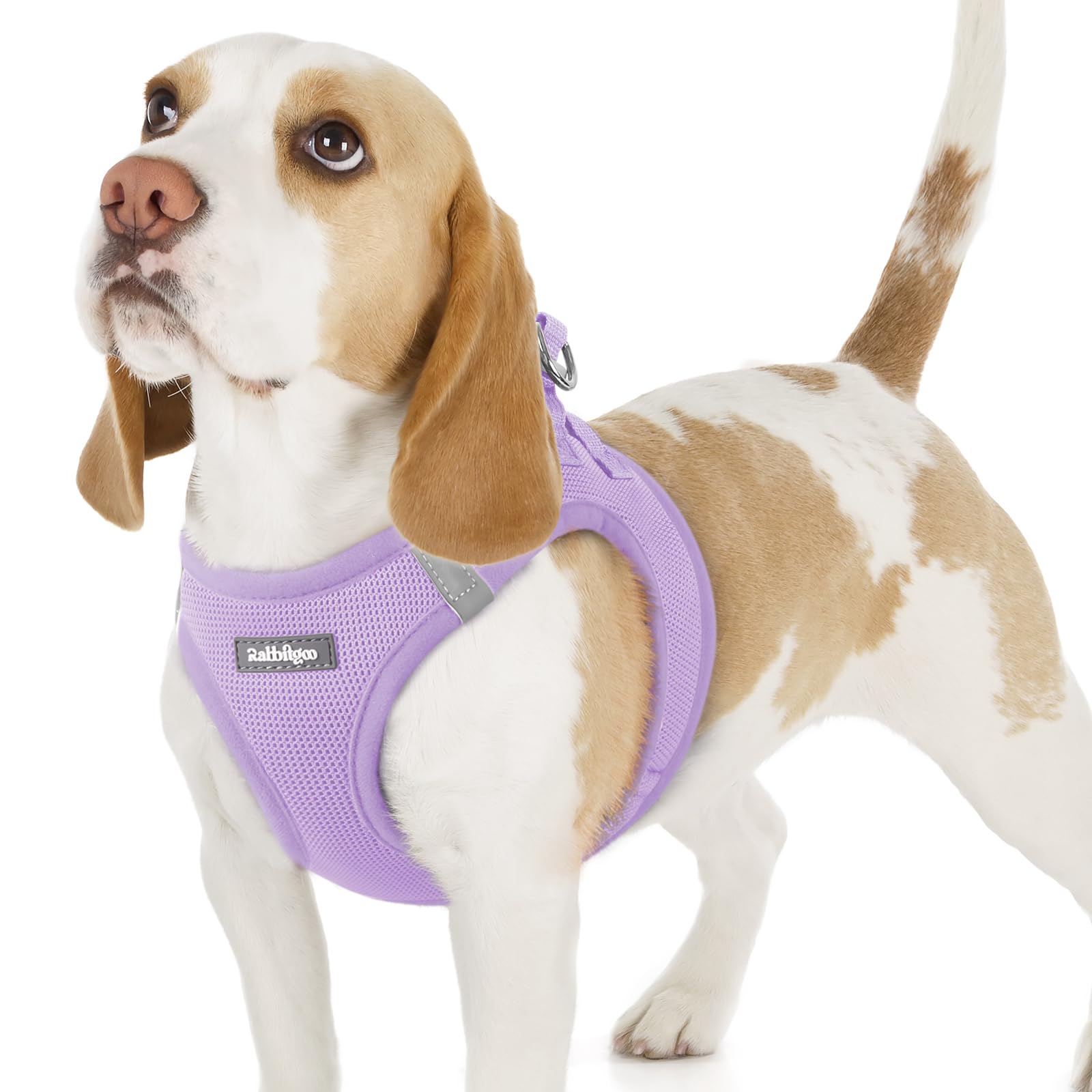 rabbitgoo Hundegeschirr kleine Hunde, Step-in Soft Mesh Hundegeschirr mit Sicherheitsverschluss, atmungsaktives und reflektierendes Welpengeschirr für kleine Hunde