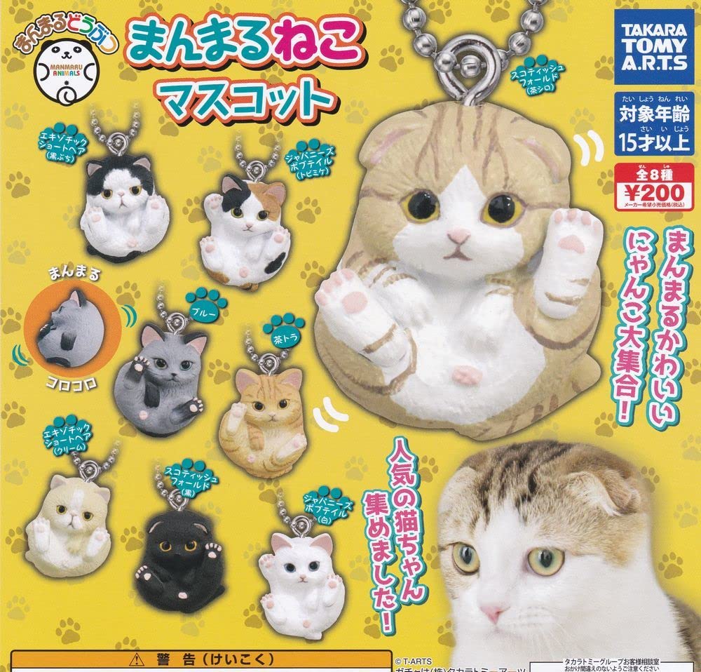 Amazon.co.jp: まんまるねこマスコット 全8種set まんまるどうぶつ/猫