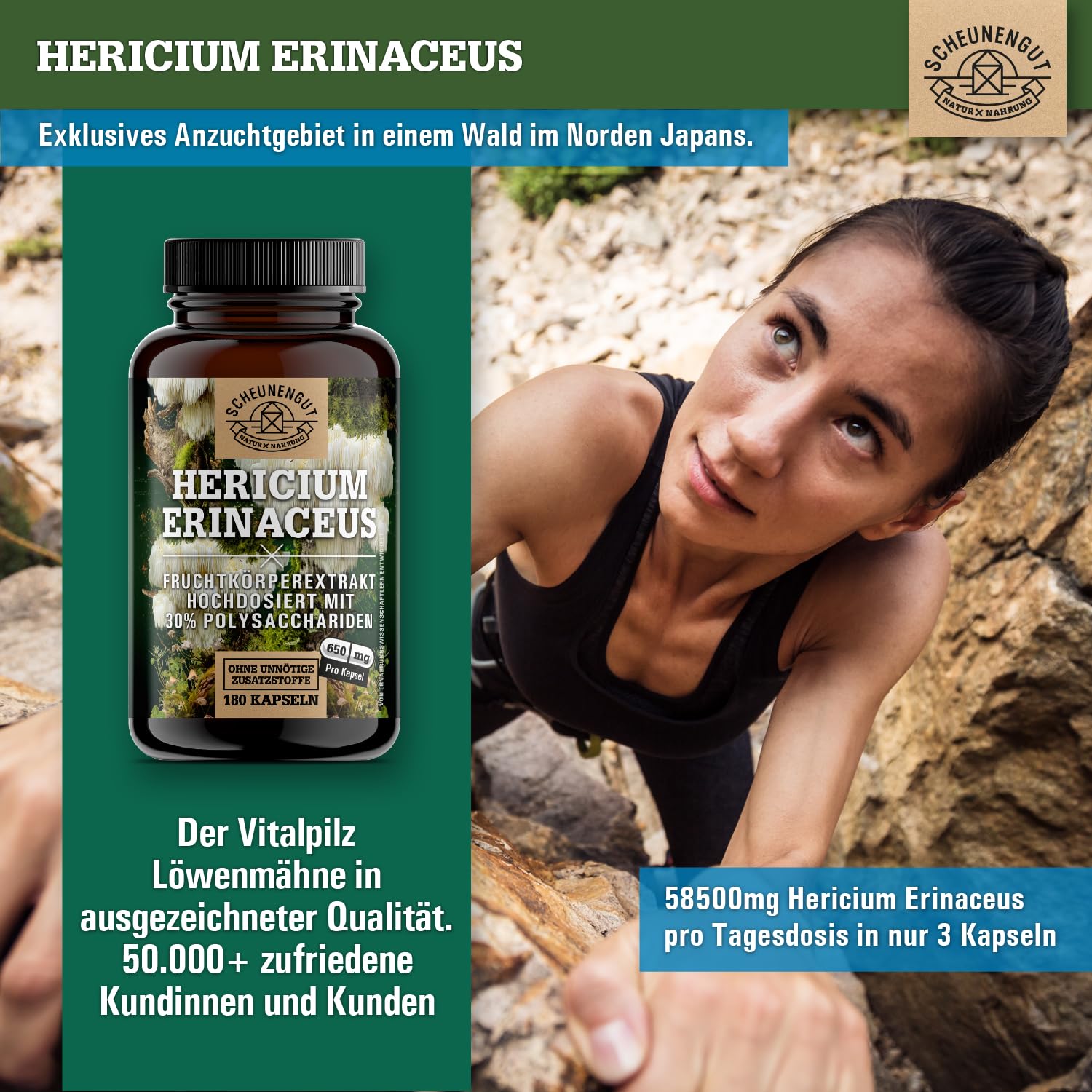 Lions Mane 1950mg -WICHTIG: 30:1 Extrakt (=58500mg Hericium Erinaceus pro Tagesdosis) +30% Polysaccharide +5% Beta Glucan -Lions Mane Kapseln- Vegan + Laborgeprüft DE SCHEUNENGUT®