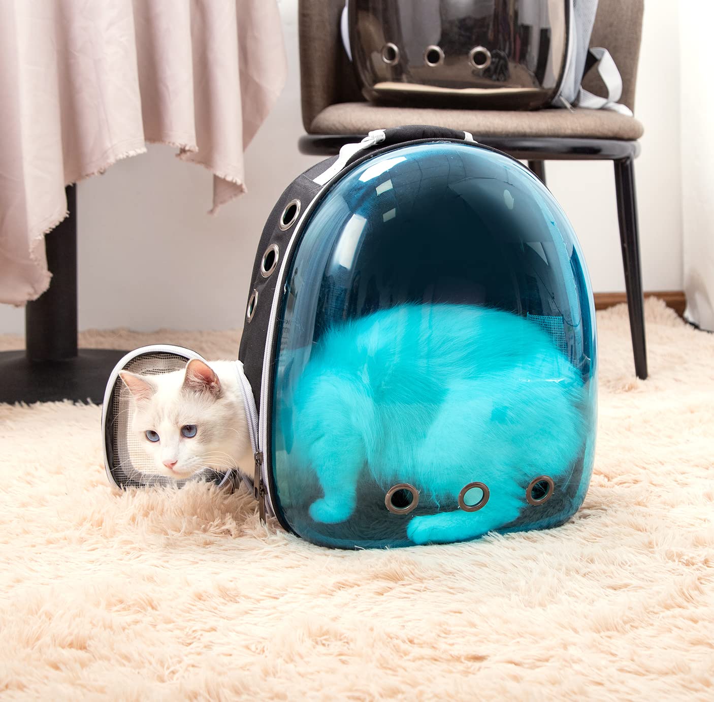 Nobleza-Mochila para Perros, Mochila Gato Transparente, Mochila Expansible Aprobada por Las Aerolíneas para Perros Pequeños, para Paseos, Senderismo o Camping