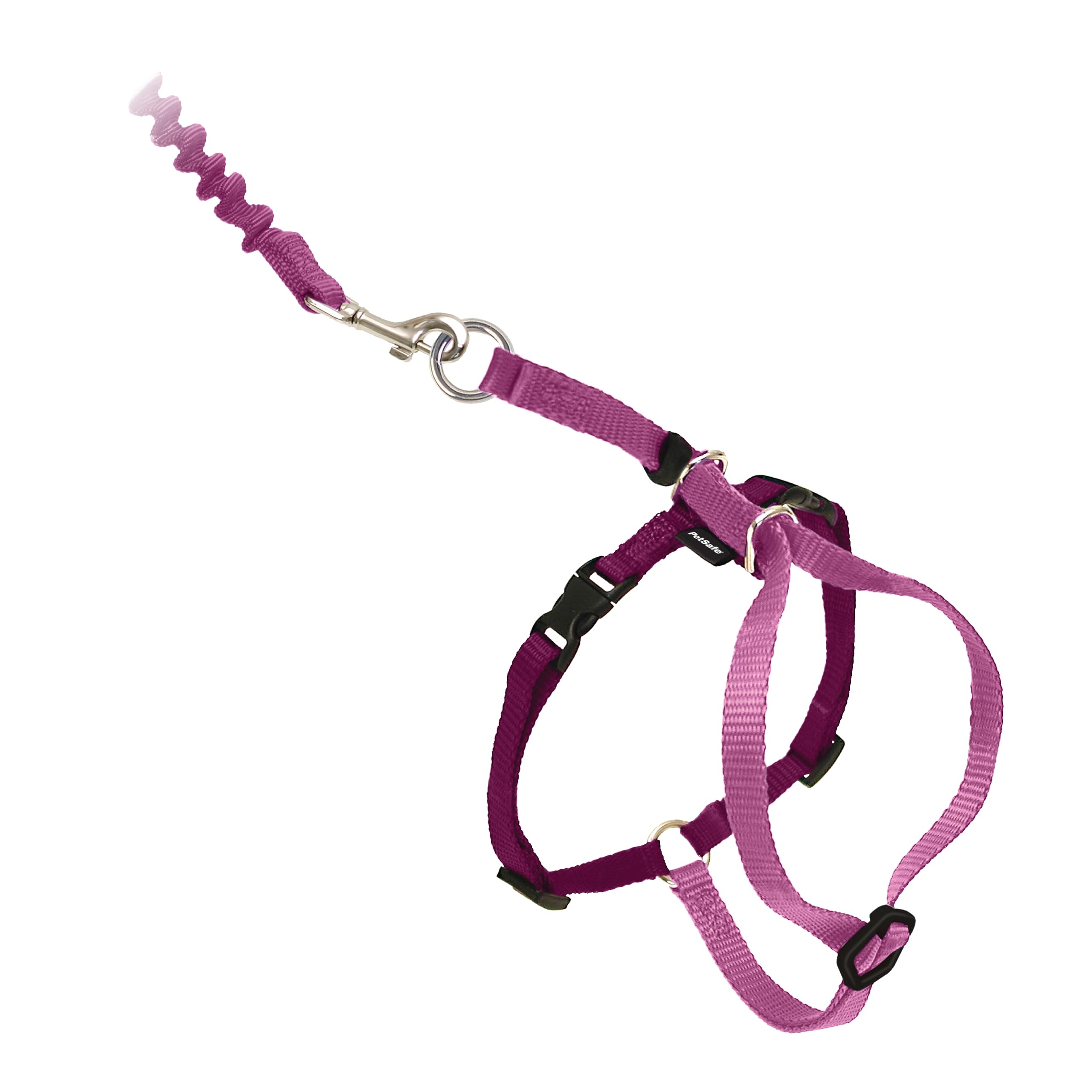 PetSafe Come with Me Kitty Cat Harness & Bungee Leash - Comfortable No-Choke Harness with Lightweight Bungee Leash for Outdoor Fun - Escape Free
