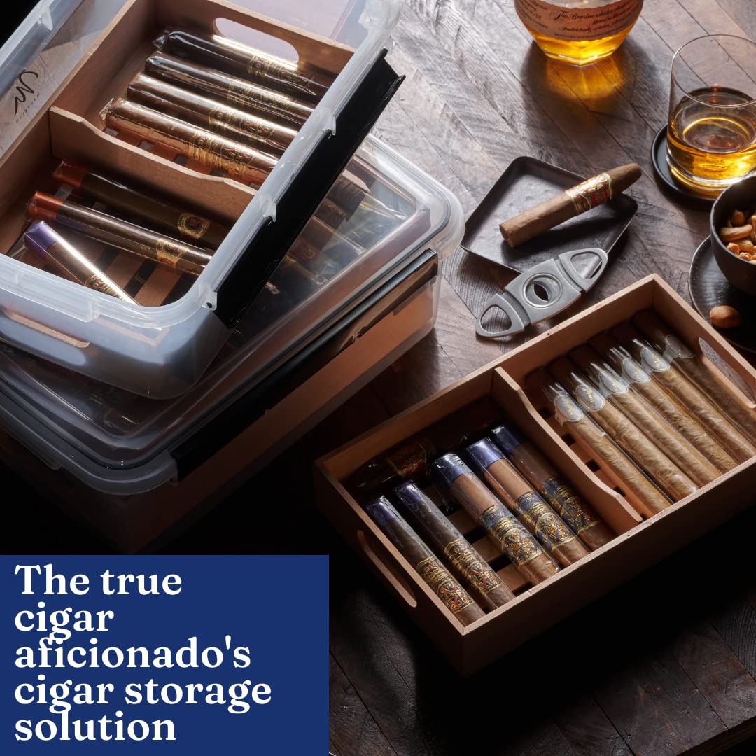 Mantello Cigar Tupperdor Humidor Plastic Container Kit, Cigar Humidors
