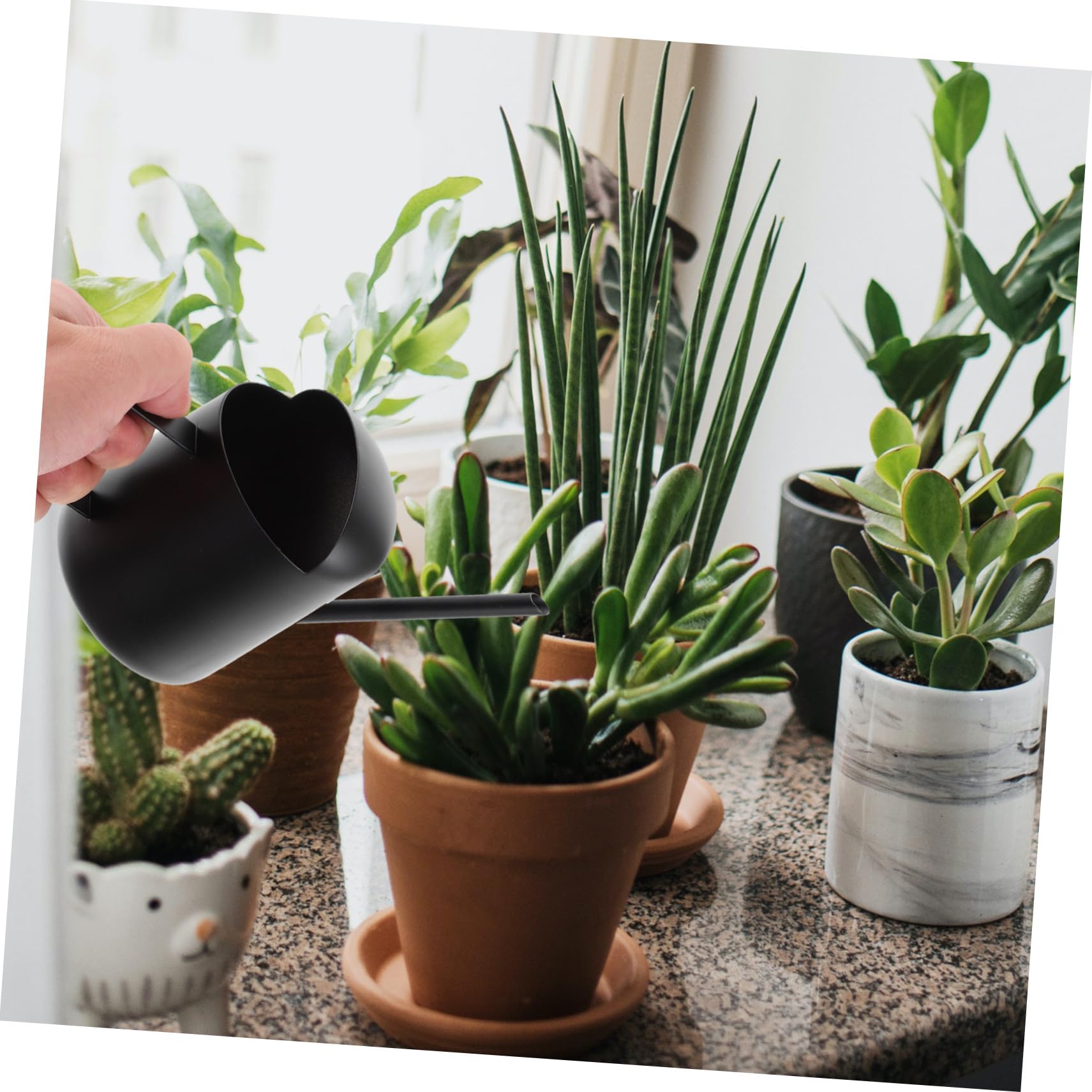 Hemobllo 2 Piezas Regadera de Inoxidable de Plantas de Interior Regadera con Jardinería Reducidos