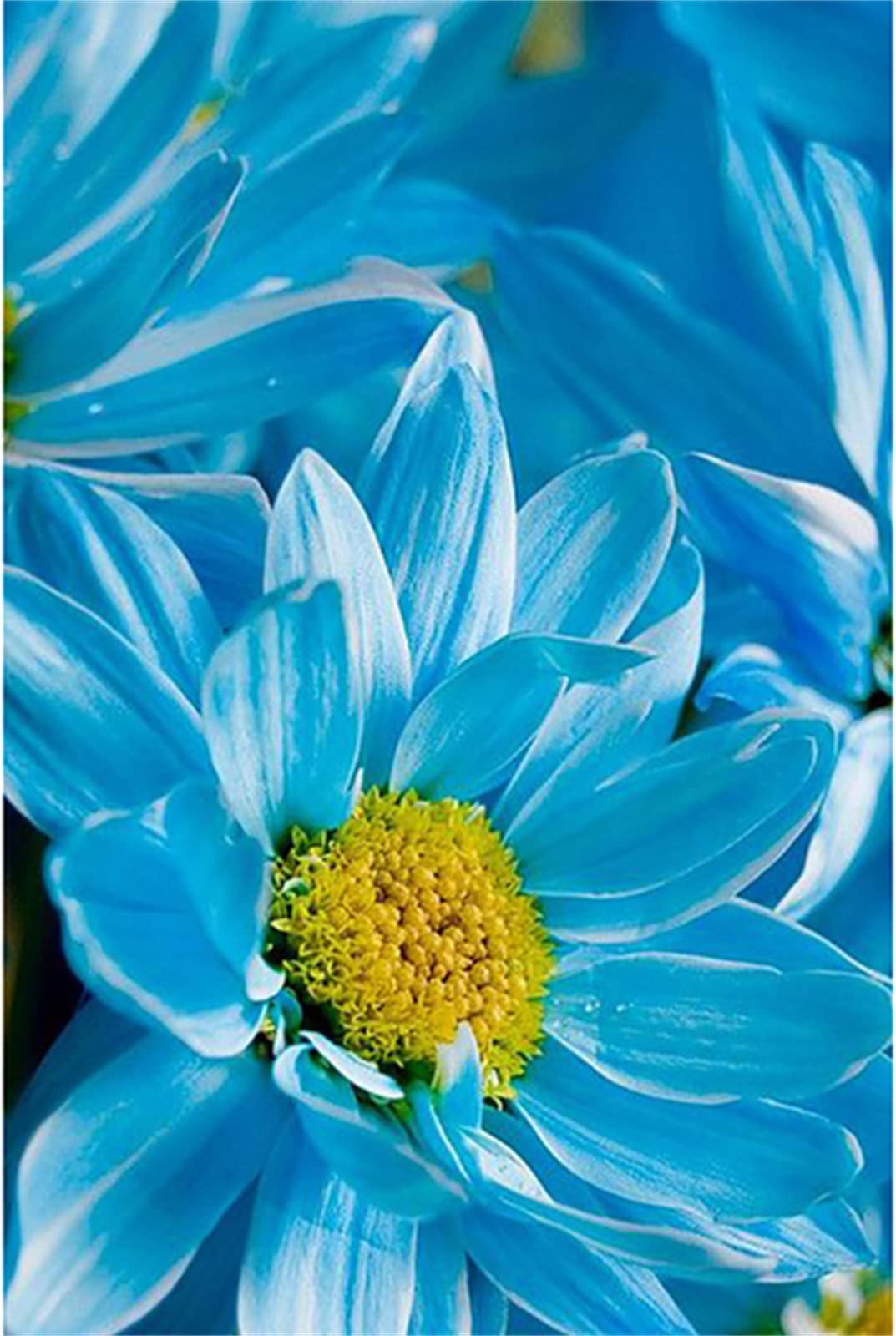 Diamant Arts Craft à Offrir Kit Peinture Strass Fleur pour Passionnés DIY