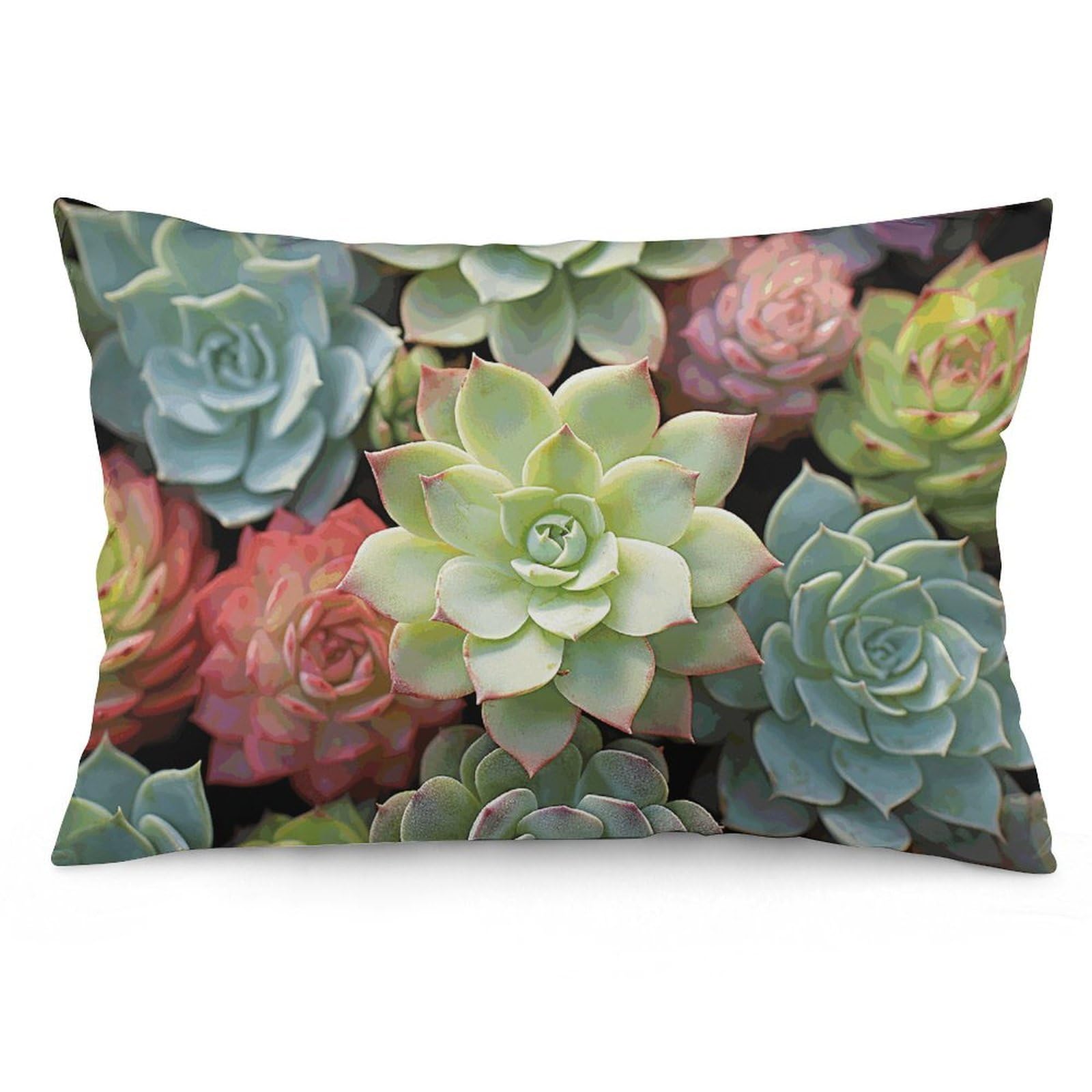 NTVOWPZO 2 Pack Decoration Throw Pillow Covers 16 "x24 Pillowcases Covers Cactus Succulents Pillowcases Modern Farmhouse Home Decor Sofa Cushions Covers for Couch Bed Living Room