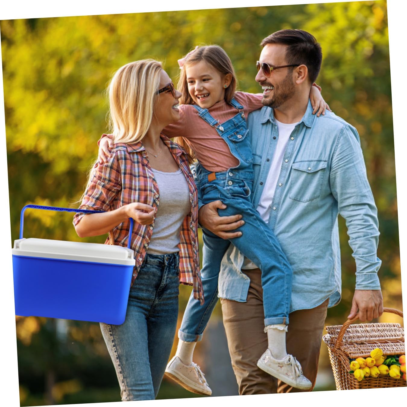 Picnic Basket Cooler with Insulation Portable 12l Lunch Cooler for Outdoors