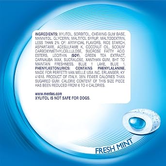 Mentos Pure Fresh Sugar-Free Chewing Gum with Xylitol, Fresh Mint, 120 Piece Resealable Bag (Pack of 1)