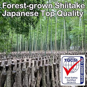 SUGIMOTO Sugimoto Shoten Authentic Shiitake Powder Made in Kyushu, 1.4 oz 40 g