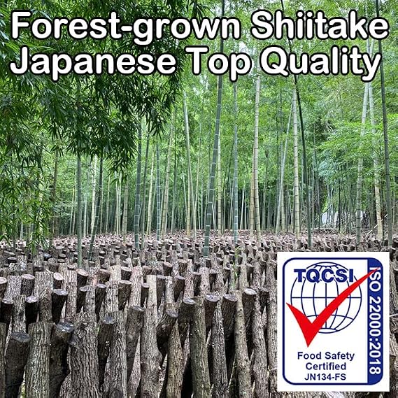 SUGIMOTO Sugimoto Shoten Authentic Shiitake Powder Made in Kyushu, 1.4 oz 40 g