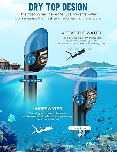 Miniatura 4 de Zenoplige Máscara de esnórquel de cara completa para adultos, equipo de esnórquel seco con soporte para cámara, máscara panorámica plegable de 180