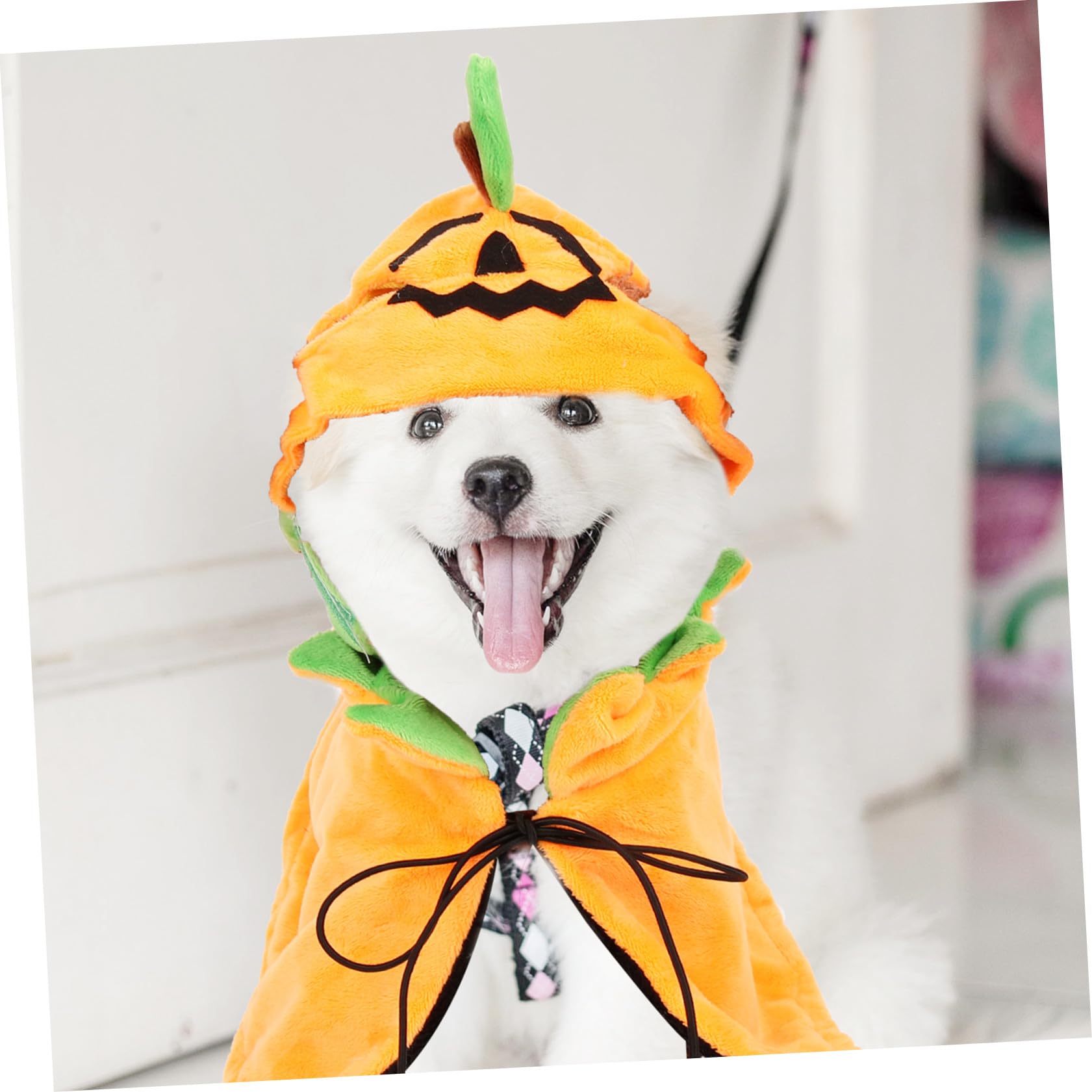 POPETPOP 4 Set Mantello Per Animali Domestici Mantello Di Peluche Per Animali Domestici Costume Da Zucca Di Halloween Per Gatti Mantello Di Zucca Per Cani Costume Di Halloween Per Cani