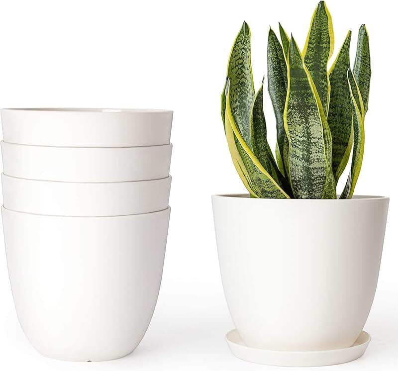 Amazon.co.uk House Plant Pots