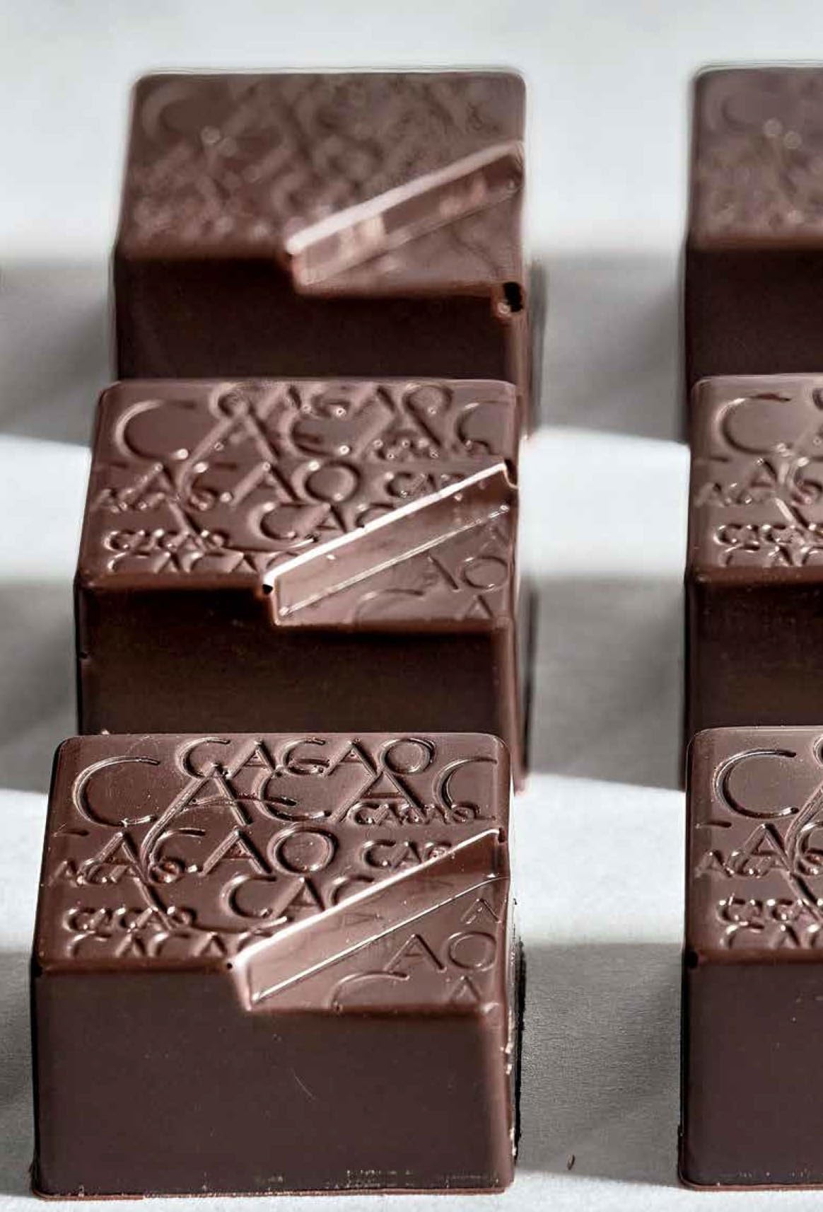 Il manuale del cioccolato. Tecnica, gestione, ricette. Guida pratica