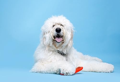 Miniatura 10 de Hartz Dental Duo