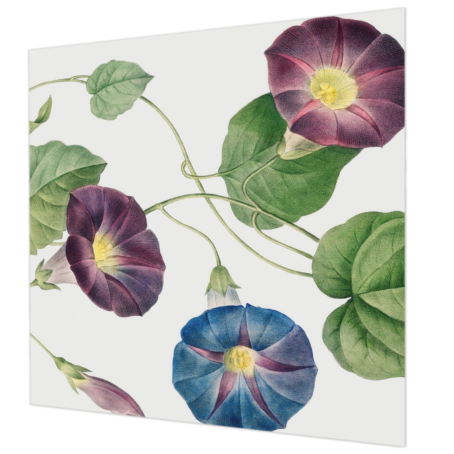 Papier peint intissé floral pour la chambre à coucher une ambiance apaisante