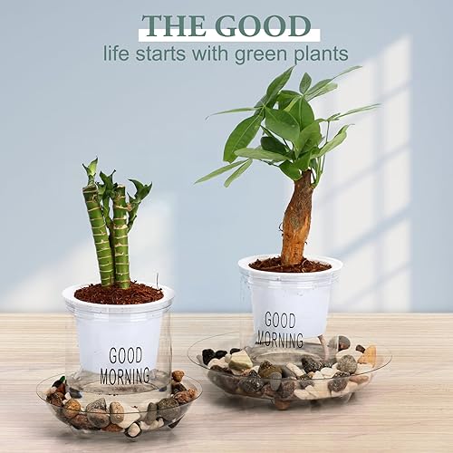 Miniatura 10 de Paquete de 5 bandejas de plástico transparente resistente para macetas, atrapador de agua de placas, protector de piso, Platón de planta de flor (6