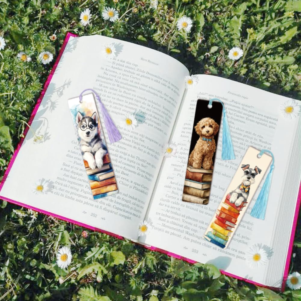 View 7