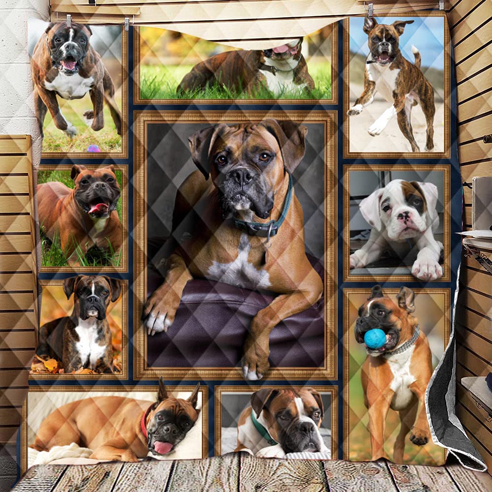 Chickwin 3D Quilted Bedspread Single Double King Size, Puppy Printed Coverlets Lightweight Microfiber Comforter Easy Care Sofa Blanket Throw for All Season (Boxer,226x260cm)