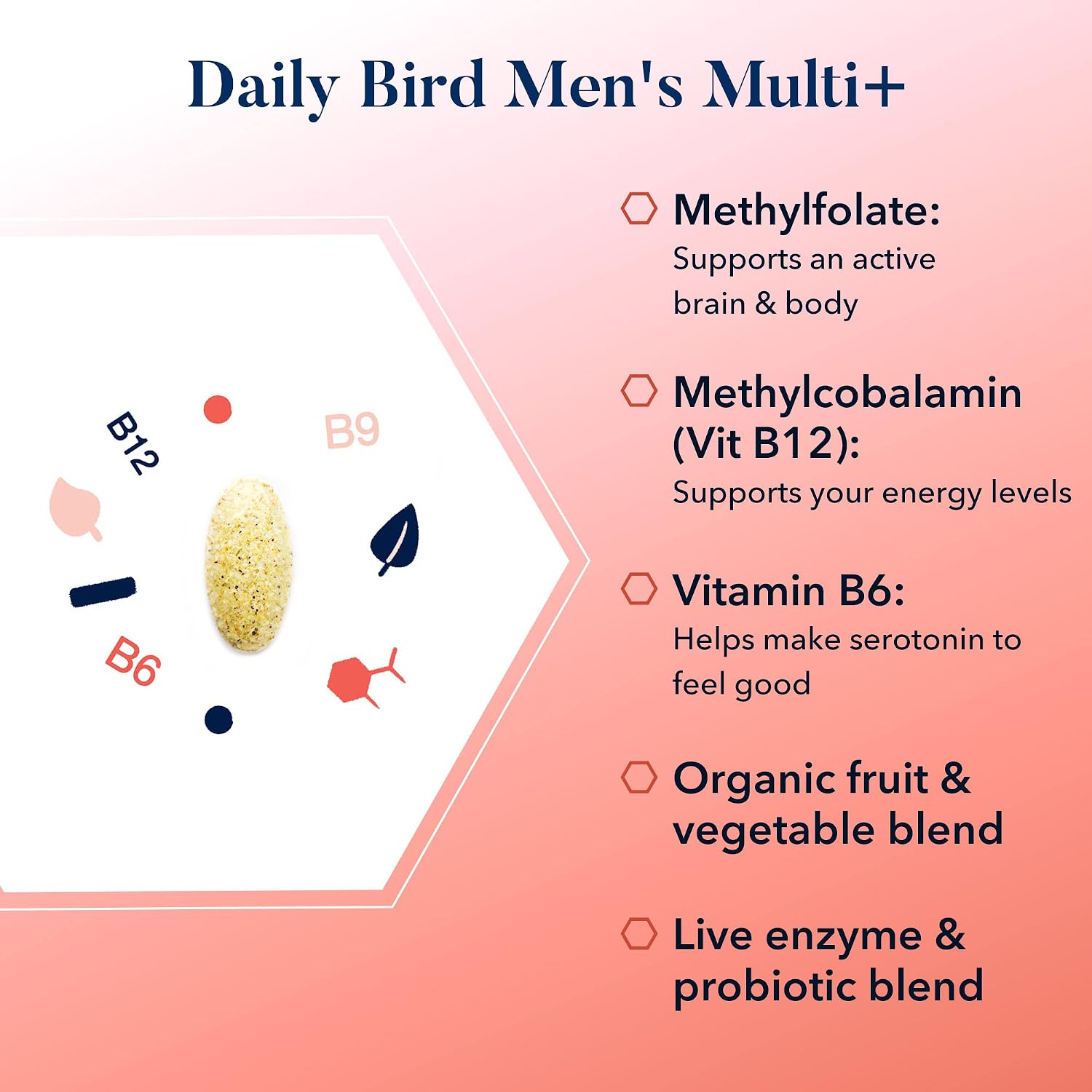 Daily Bird Men's Multivitamin with Probiotics, Methylfolate, VIT B12, Natural Whole Food Organic Blend, Once Daily Multivitamin Supplement, Includes Bonus Smart Brain Guide