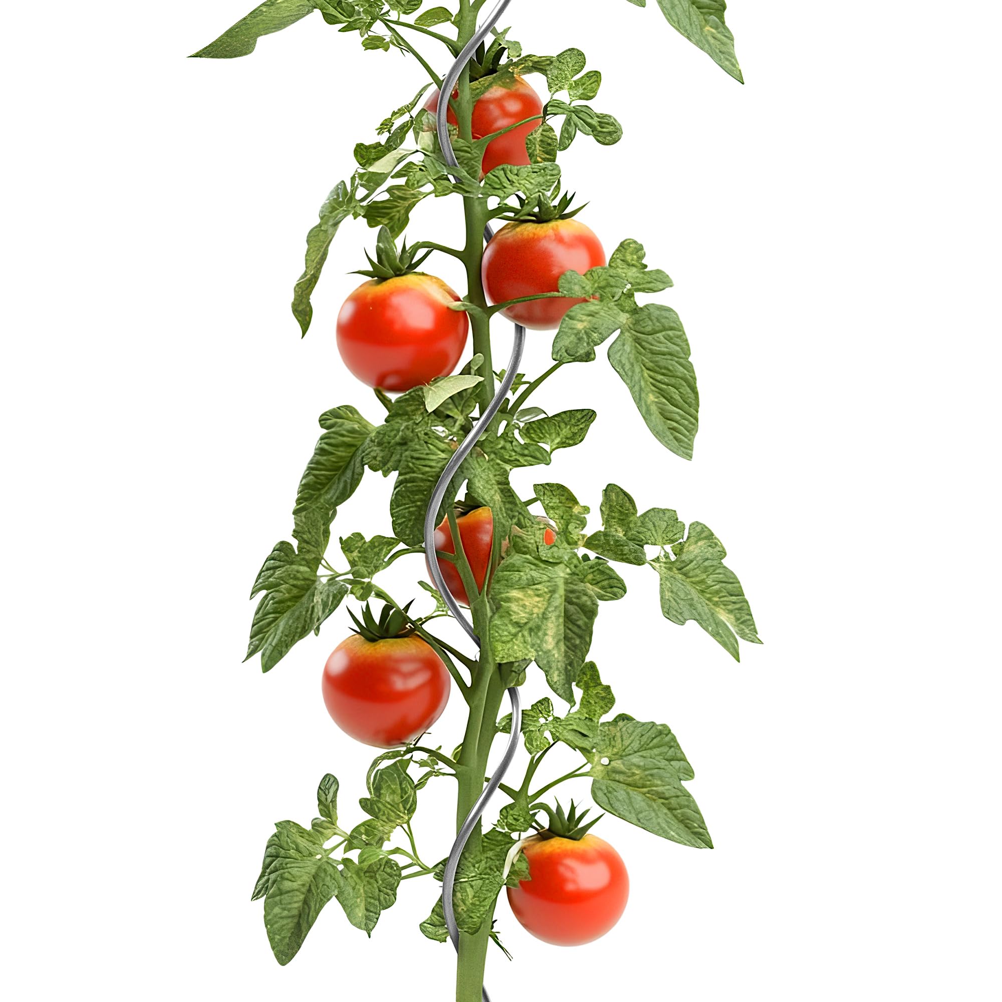 KADAX Set di 10 aste a spirale per pomodori, 180 cm x 6 mm, aste in alluminio, supporto per rampicanti per pomodori, spirale per pomodori, asta a spirale, pali per pomodori, aste per piante
