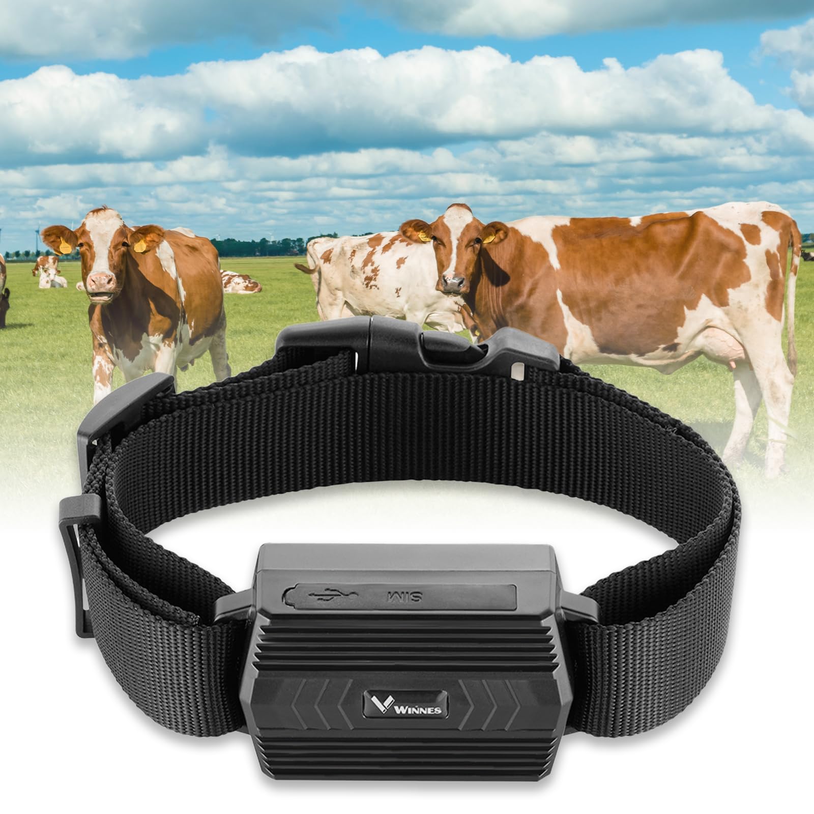 4G GPS Tracker Tier mit Halsband, 3000mAh Wasserdicht Rinder Schaf GPS-Tracker Weiden Anti Verloren GPS Tracking Geräte