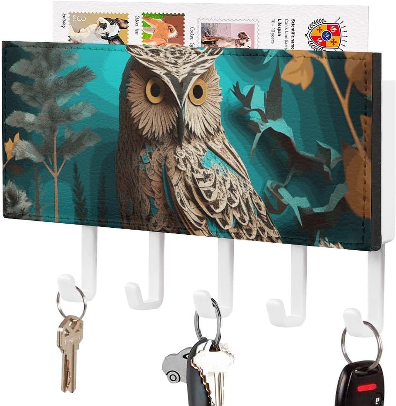 Owl Key & Mail Holder Wall Mount with 5 Hooks