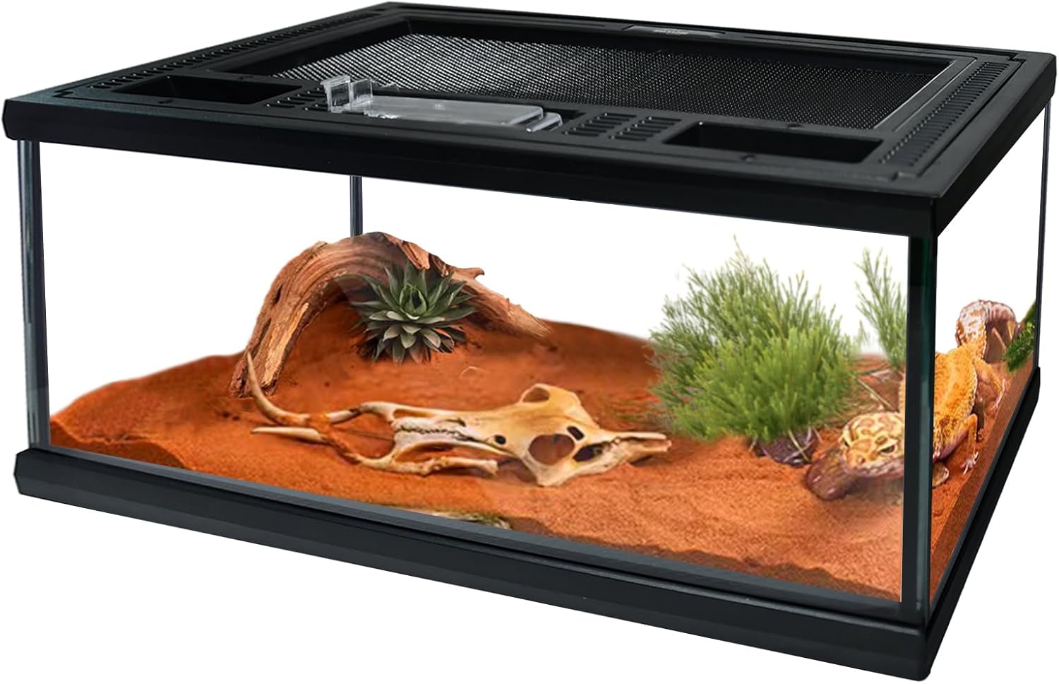 Reptile Glass Terrarium Tank 12"*8"*6",Small Cage Full View with Top Screen Ventilation Habitat Enclosure for Tarantula,Frog,Gecko,Insects,Spiders,Snakes,Hermit Crab,Turtle,Ball Python 12*8*6inch