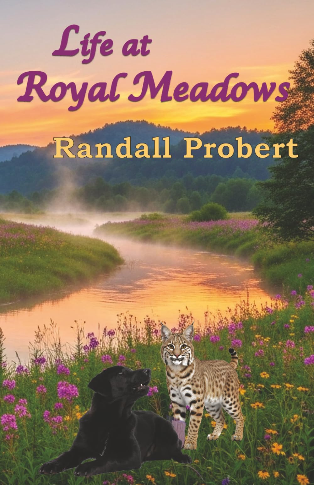 Life at Royal Meadows