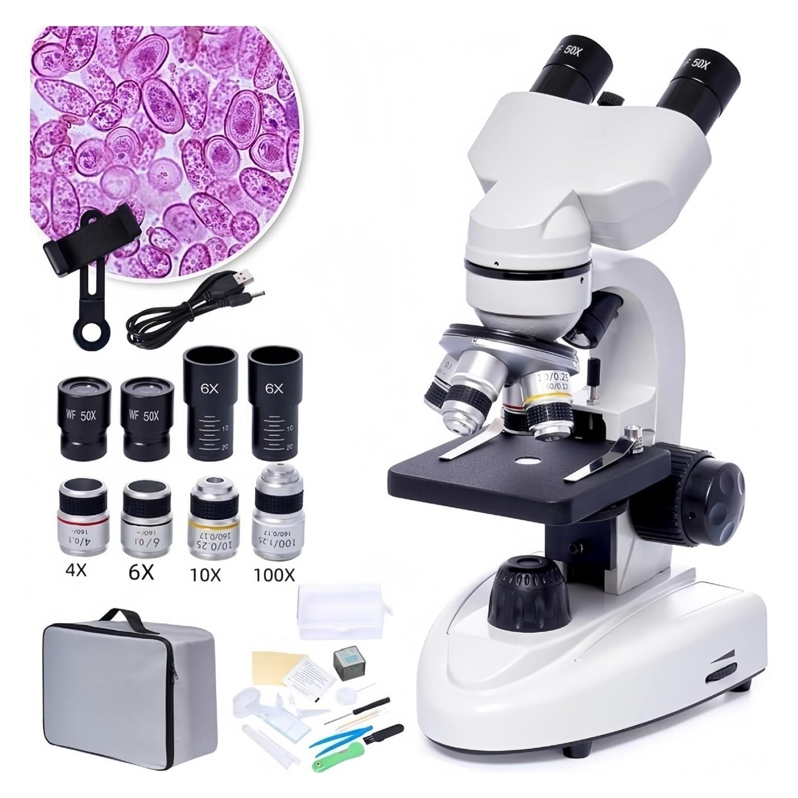 Mikroskop cyfrowy, Mikroskopia Biologiczna Zakres HD Cyfrowe Laboratorium Kompozytowe Z Okularem