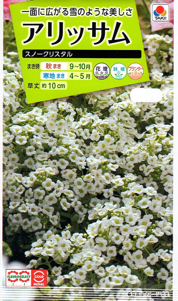 Amazon | タキイ種苗 アリッサムスノークリスタル | 花