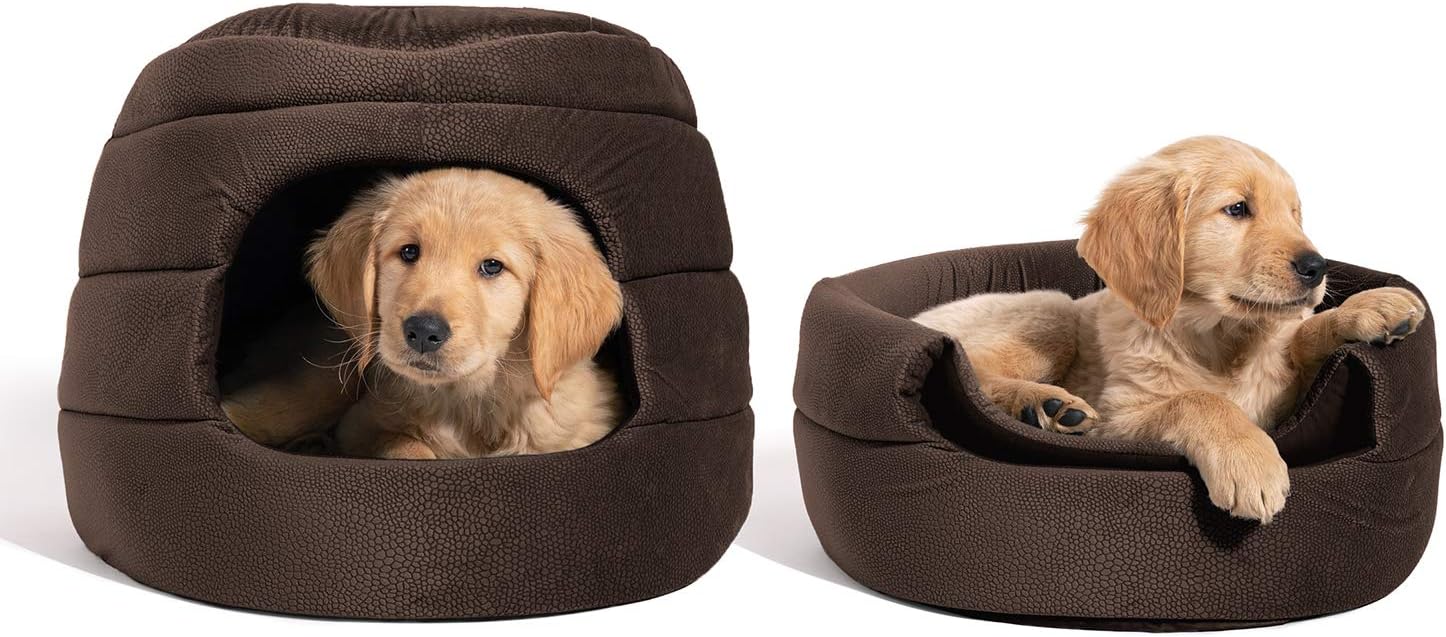 best covered dog bed