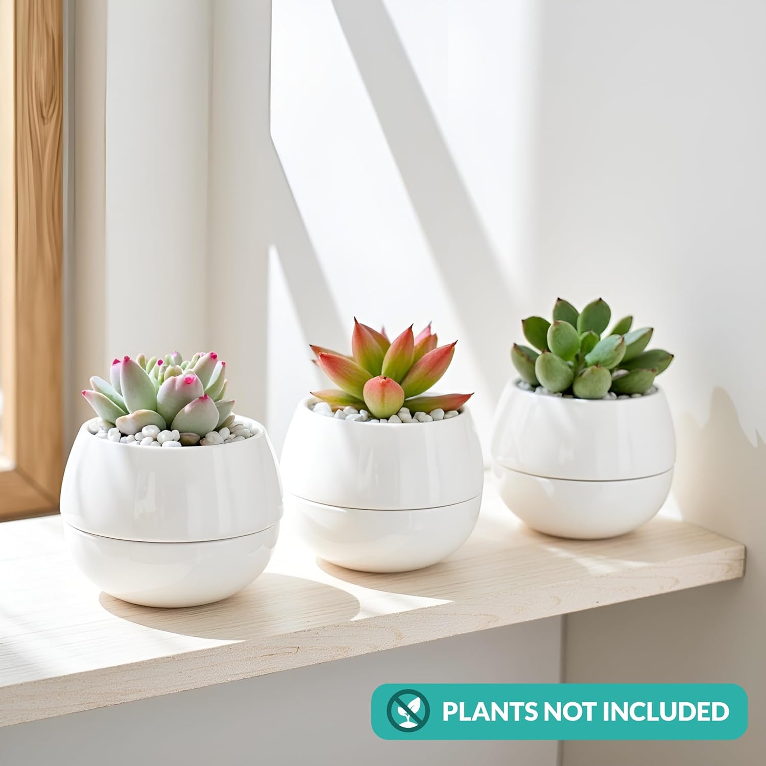 Willowy 3.5 Inch Small Succulent Pots - 3pk, Mini/Small White Ceramic Succulent Pots - No Plants Included