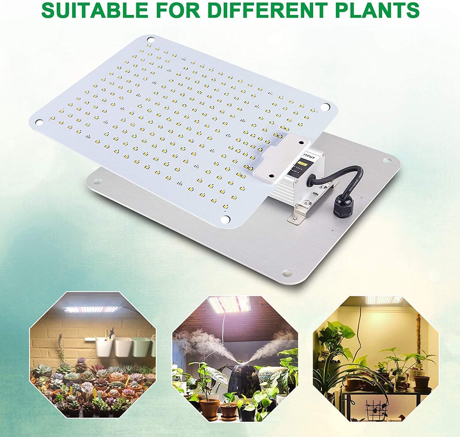 COKOLILA Lampe de Croissance LED 1000W Spectre Complet 222 LEDs SMD IR Dimmable pour Plantes d'Intérieur 90x90cm