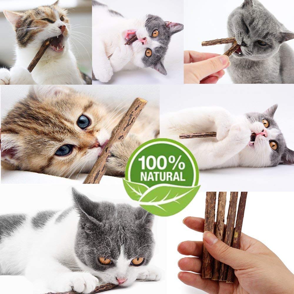 Uyubao Silvervine Sticks Voor Katten En Kauwtouw Speelgoed Met Navulbare Natuurlijke Catnip Tas Tanden Schoonmaken 3619161940 Uyubao Silvervine Sticks Voor Katten En Kauwtouw Speelgoed Met Navulbare Natuurlijke Catnip Tas Tanden Schoonmaken 3619161940