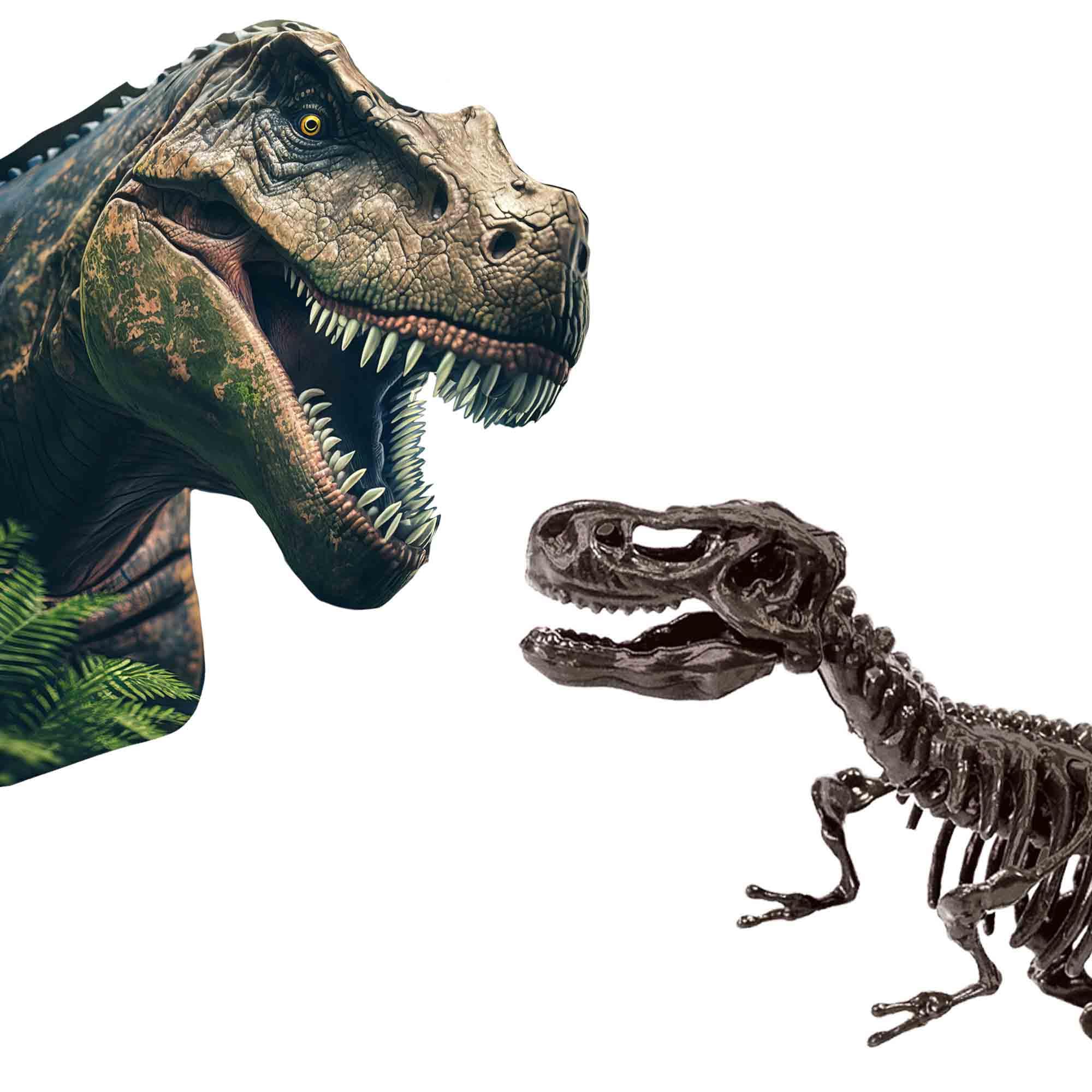 Amazon.co.jp: SES Creative - 恐竜と骸骨の発掘 2 in 1-T-Rex