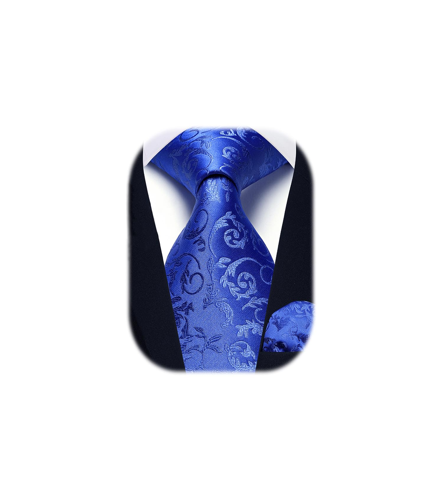 HISDERN Ties for Men Paisley Floral Tie Handkerchief Classic Woven Business Formal Necktie and Pocket Square Set Wedding