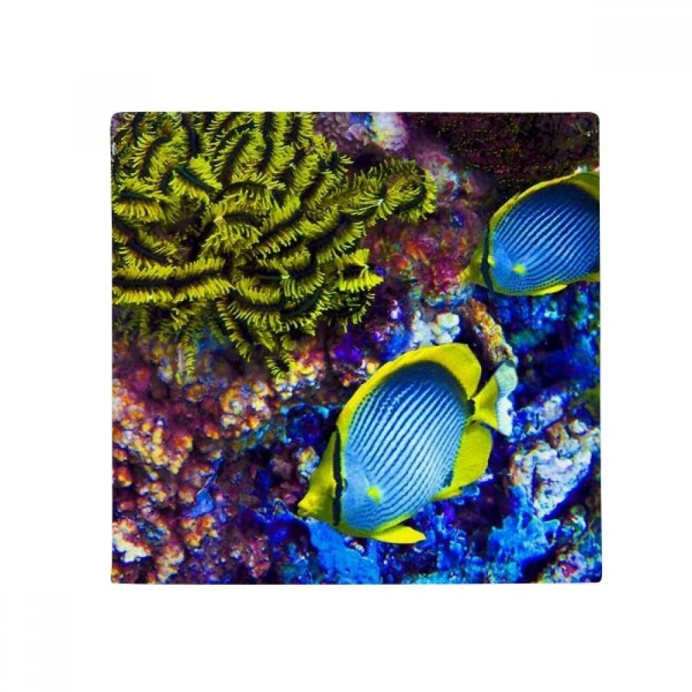 Tapis méduse ocean bleu antidérapant pour illuminer le sol de votre cuisine et salle de bain